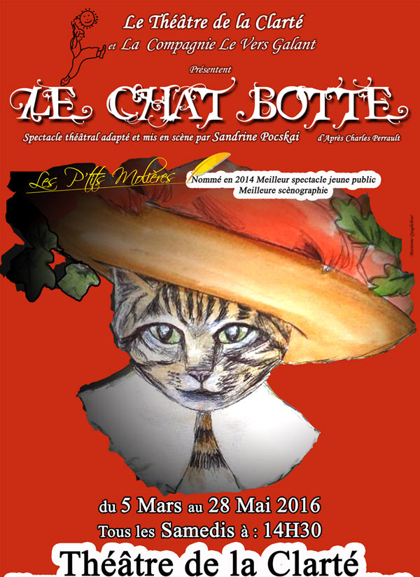 Chat boulogne sur mer