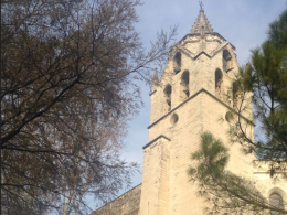 Eglise Collgiale Saint-Didier  Avignon, programme 2024