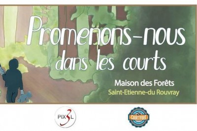 Promenons-nous dans les courts #19 festival du court-mtrage  Saint Etienne du Rouvray