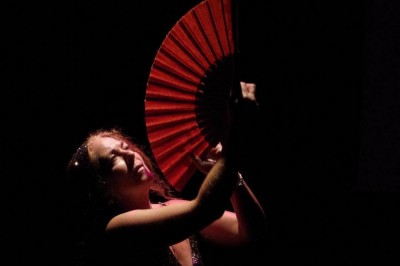 LiNa de Lolita DEL PINO - Performance Musique & Danse Flamenco  Nimes