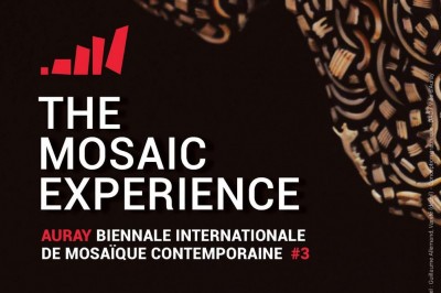Exposition The Mosaic Experience #3 à Auray