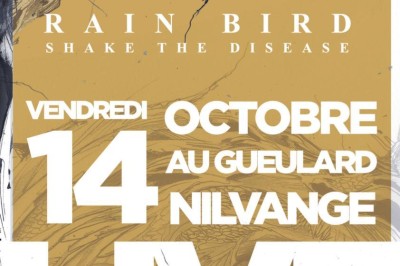 Rainbird Shake The Disease à Nilvange