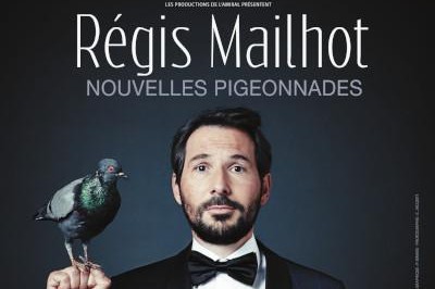 Régis Mailhot : Nouvelles pigeonnades à Rennes