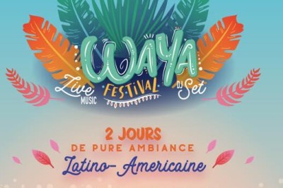 Waya Festival 2024