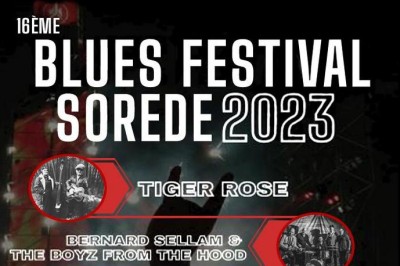 Festival Blues 2024
