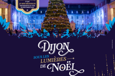 Marché de Noël de Dijon 2023