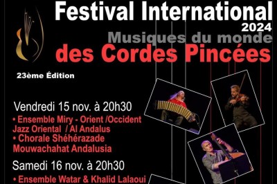 Festival Internationales de Cordes Pinces 2024