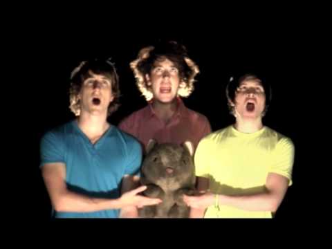 The Wombats