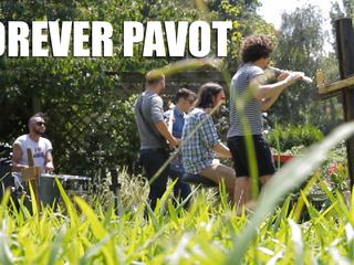 Forever Pavot
