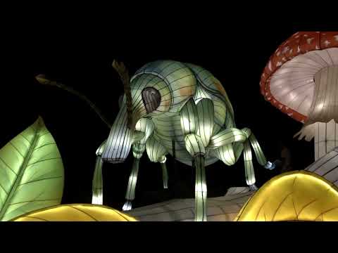 Mini-Mondes en voie d'illumination au Jardin des plantes