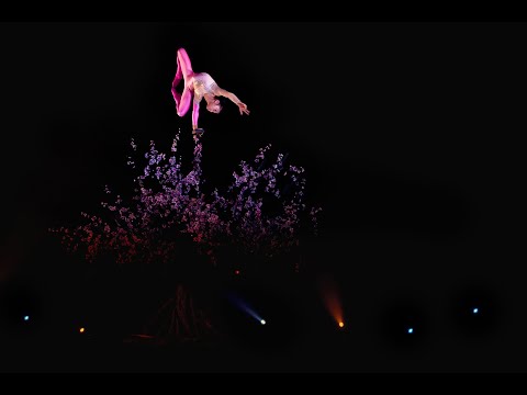 Cirque Phnix
