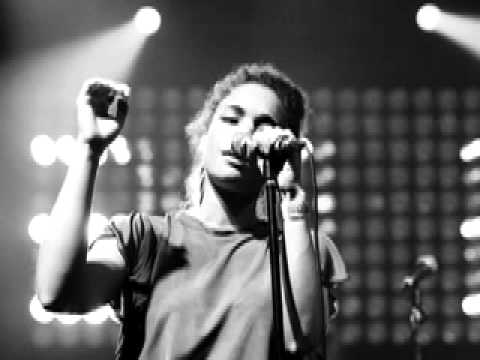 Bonobo